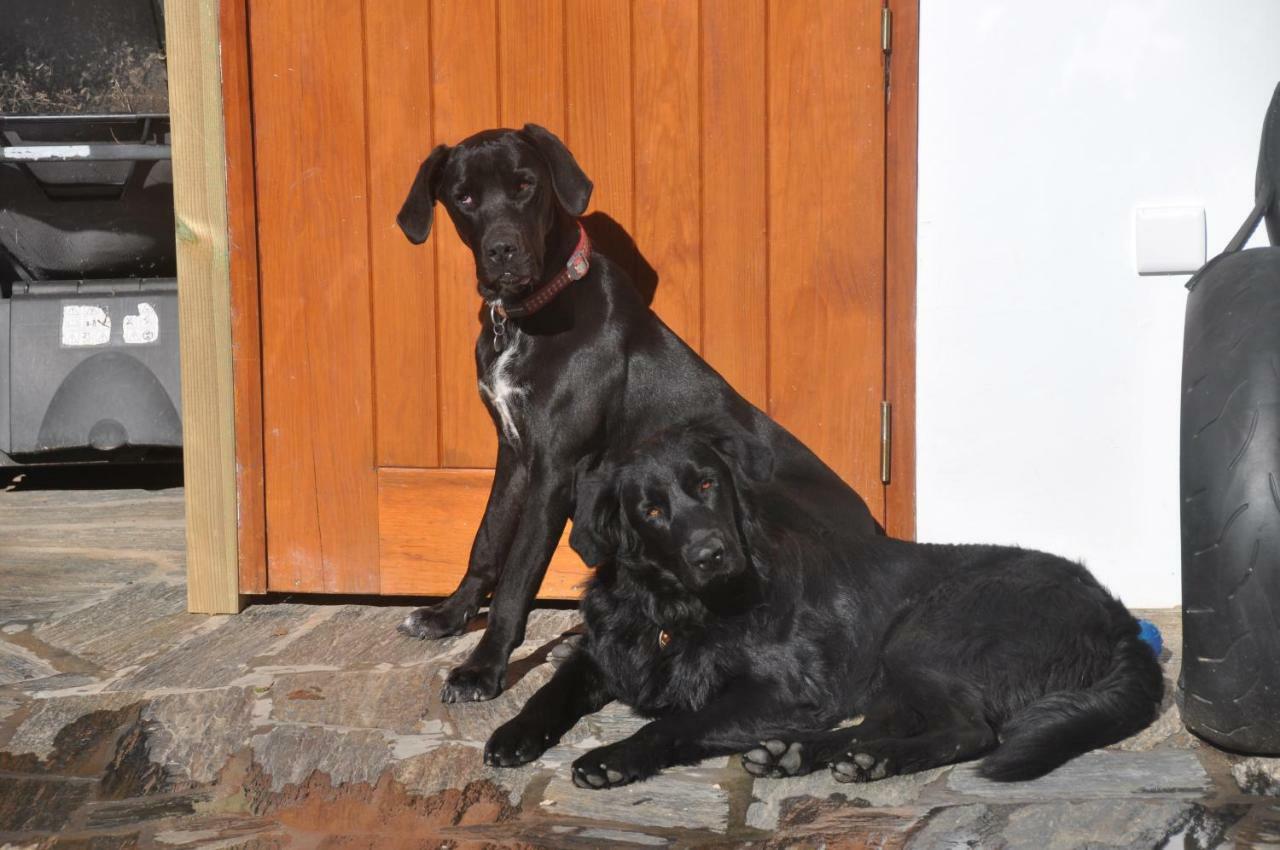 Quinta Do Bom Vento Guest House Obidos Exterior photo
